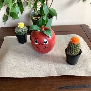 Fisher-Price HAPPY APPLE Vintage Toy 1972